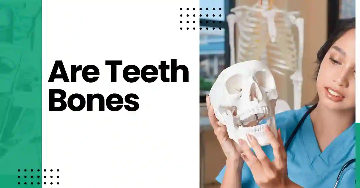 are teeth bones